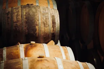 Photos réseaux sociaux, photogrape Angoulême, Cognac, Chateauneuf-sur-Charente.