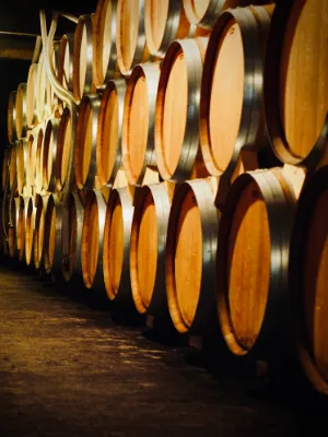 Photos réseaux sociaux, photogrape Angoulême, Cognac, Chateauneuf-sur-Charente.