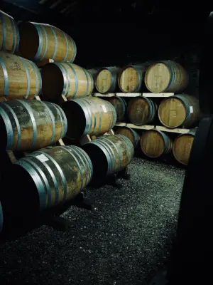 Photos réseaux sociaux, photogrape Angoulême, Cognac, Chateauneuf-sur-Charente.