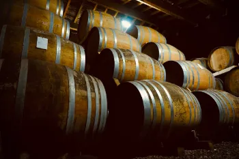 Photos réseaux sociaux, photogrape Angoulême, Cognac, Chateauneuf-sur-Charente.