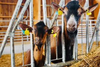 Photos vidéo entreprise réseaux sociaux Angoulême, Cognac, Charente.