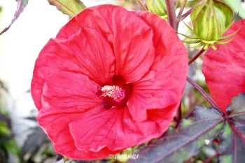 Photos vidéo entreprise réseaux sociaux Angoulême, Cognac, Charente.