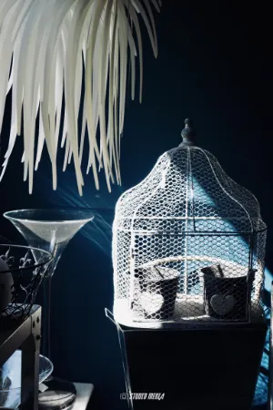 Photos vidéo entreprise réseaux sociaux Angoulême, Cognac, Charente.