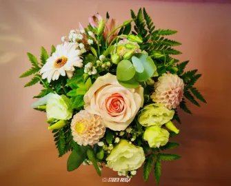 Photos vidéo entreprise réseaux sociaux Angoulême, Cognac, Charente.