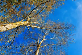 Photos réseaux sociaux, photogrape Angoulême, Cognac, Chateauneuf-sur-Charente.