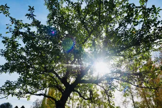Photos réseaux sociaux, photogrape Angoulême, Cognac, Chateauneuf-sur-Charente.