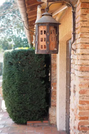 Photos réseaux sociaux, photogrape Angoulême, Cognac, Chateauneuf-sur-Charente.