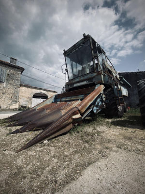 Photos réseaux sociaux, photogrape Angoulême, Cognac, Chateauneuf-sur-Charente.