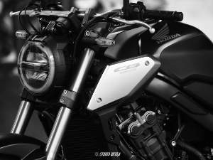 Photos réseaux sociaux, photogrape Angoulême, Cognac, Chateauneuf-sur-Charente.