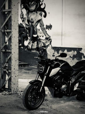 Photos réseaux sociaux, photogrape Angoulême, Cognac, Chateauneuf-sur-Charente.