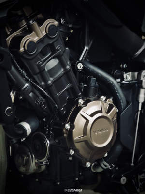 Photos réseaux sociaux, photogrape Angoulême, Cognac, Chateauneuf-sur-Charente.