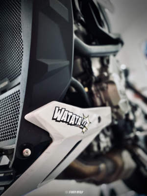 Photos réseaux sociaux, photogrape Angoulême, Cognac, Chateauneuf-sur-Charente.