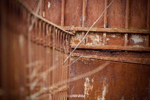 Photos réseaux sociaux, photogrape Angoulême, Cognac, Chateauneuf-sur-Charente.