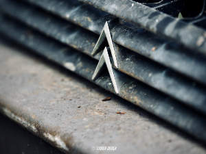 Photos réseaux sociaux, photogrape Angoulême, Cognac, Chateauneuf-sur-Charente.