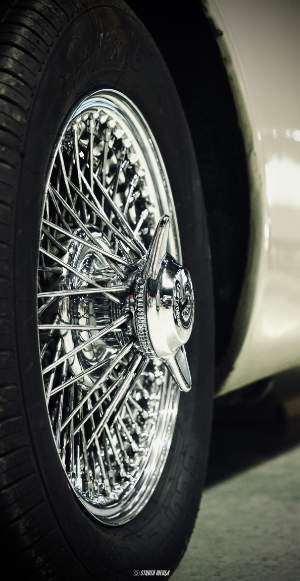 Photos réseaux sociaux, photogrape Angoulême, Cognac, Chateauneuf-sur-Charente.