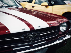 Photos réseaux sociaux, photogrape Angoulême, Cognac, Chateauneuf-sur-Charente.