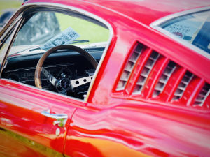 Photos réseaux sociaux, photogrape Angoulême, Cognac, Chateauneuf-sur-Charente.