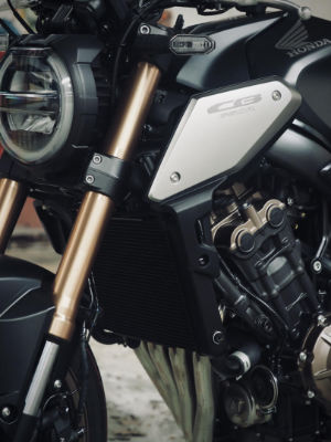 Photos réseaux sociaux, photogrape Angoulême, Cognac, Chateauneuf-sur-Charente.