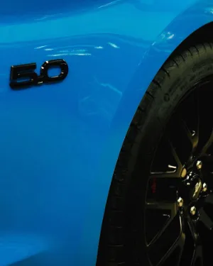 Photos réseaux sociaux, photogrape Angoulême, Cognac, Chateauneuf-sur-Charente.