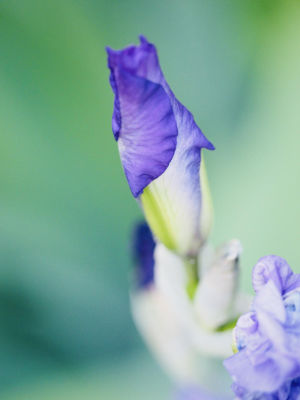 Photos réseaux sociaux, photogrape Angoulême, Cognac, Chateauneuf-sur-Charente.