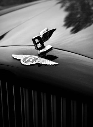 Photos réseaux sociaux, photogrape Angoulême, Cognac, Chateauneuf-sur-Charente.