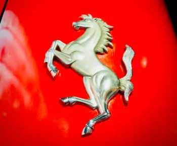 Photos vidéo entreprise réseaux sociaux Angoulême, Cognac, Charente.