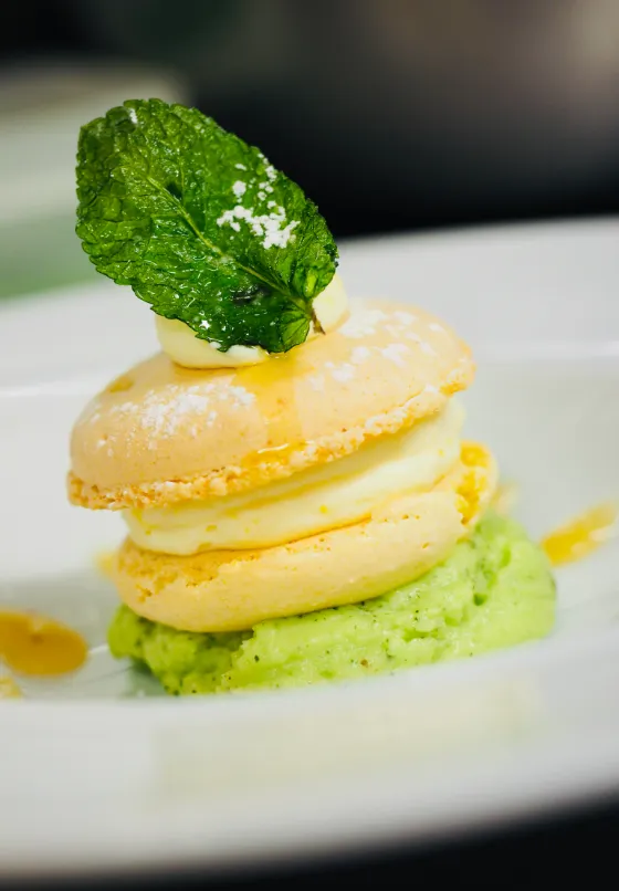 Photos vidéos réseaux sociaux Angoulême, Bordeaux, Saintes, Cognac.