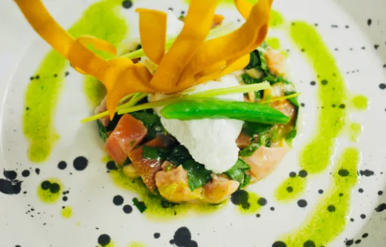 Photos vidéos réseaux sociaux Angoulême, Bordeaux, Saintes, Cognac.