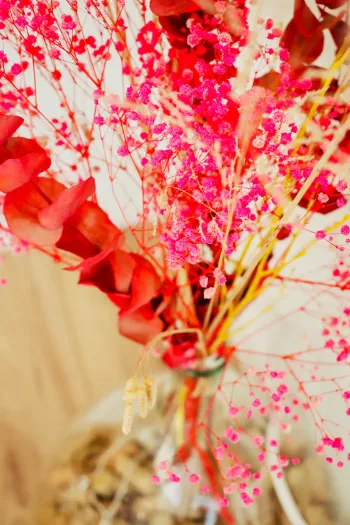 Photos réseaux sociaux, photogrape Angoulême, Cognac, Chateauneuf-sur-Charente.