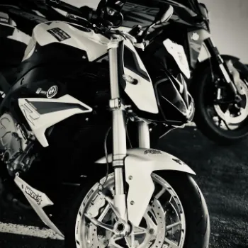 Photos réseaux sociaux, photogrape Angoulême, Cognac, Chateauneuf-sur-Charente.