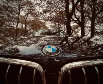 Photos réseaux sociaux, photogrape Angoulême, Cognac, Chateauneuf-sur-Charente.